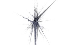 2014 12 15 Shadow Play 021-white.jpg